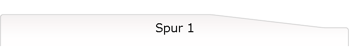 Spur 1